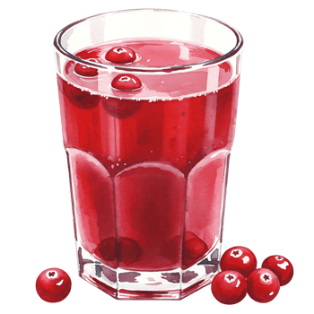 A Watercolor filled with red cranberry juice and some cranberries scattered around on the surface and the bottom on transparent background png