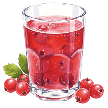 A Watercoloring beverage with berries in a clear Watercolor on a plain backdrop for a simple composition on transparent background png