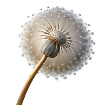 stunning futuristic A single dandelion seedhead with seeds dispersing in the wind, lit by a dramatic spotlight, surrealist style 4K png