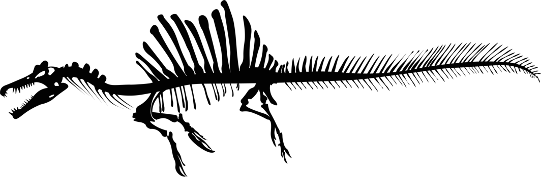 Realistic Spinosaurus Skeleton png