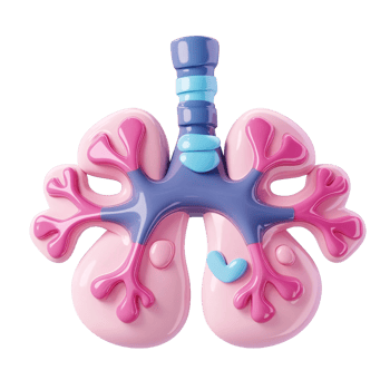 Cartoon lungs 3D render on transparent background Concept of respiratory system, healthcare, and medical illustration png