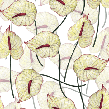 Watercolor hand draw seamless pattern with different wild flowers. Cute floral pattern perfect for textile design. Cute background for fabric, textile, wallpaper. Meadow with flowers. png