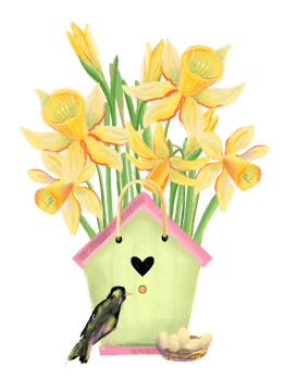Yellow daffodil with leaves in a paper package that looks like a birdhouse, starling, nest with eggs nearby. Hand drawn spring garden flower illustration, good for print, poster, card or banner. png
