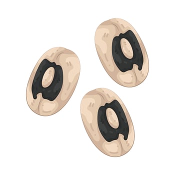 Illustration of Black-eyed Pea vector