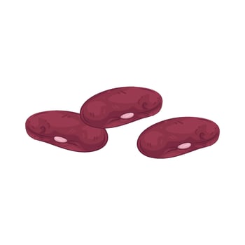 Illustration of Kidney Bean vector