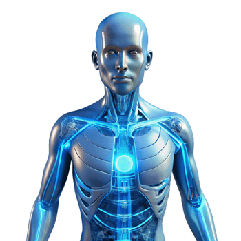 elegant iconic A transparent human figure, its internal organs replaced with glowing circuitry, illuminated by a cool, blue light, cyberpunk style png