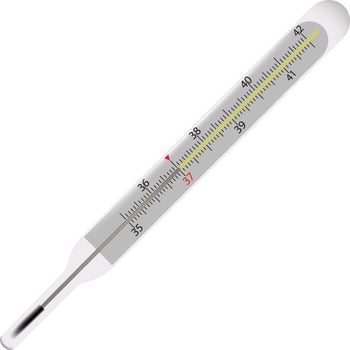 A thermometer on a white background vector