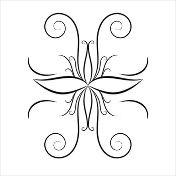 Classic Swirl Divider Element vector