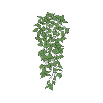 Aesthetic Indoor Plant vector