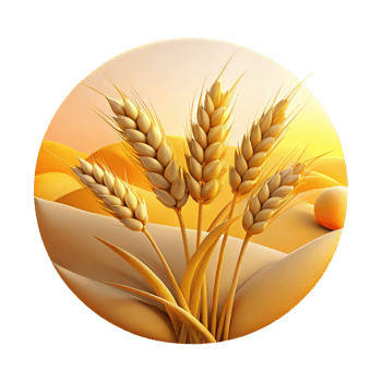 distinguished impressionist A field of wheat swaying in the wind, golden hour lighting, peaceful and serene style handcrafted png