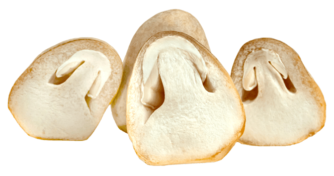 raw Straw mushroom png
