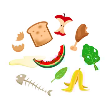 organic foods waste isolated on white, organic waste vegetables and fruits garbage, organic rotten food garbage set, illustration organic waste garbage for separation from leftover foods vector