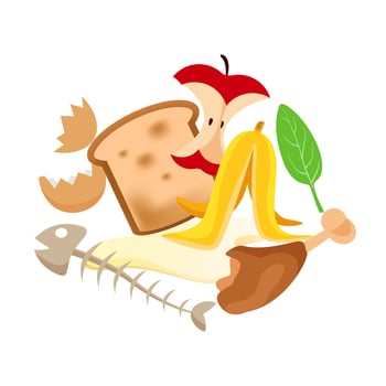 organic foods waste isolated on a white, organic waste vegetables and fruits garbage, organic rotten food garbage set, illustration organic waste garbage for separation from leftover foods vector