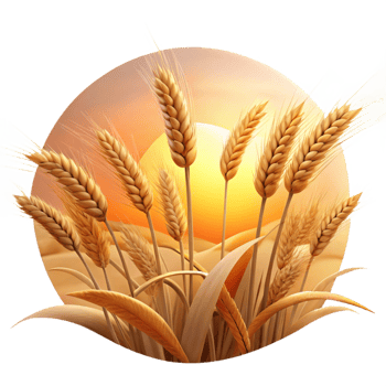 sumptuous harmonious vintage A field of wheat swaying in the wind, golden hour lighting, peaceful and serene style museum quality png