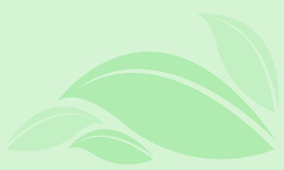 leaf graphic green soft for the background, pattern leaf light green graphic for copy space, nature background with leaves graphic, leaves soft pastel colors for art line and natural wallpaper vector