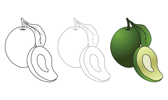 Mango Coloring Page For Kids, Illustration Hand Drawn Coloring Page vector