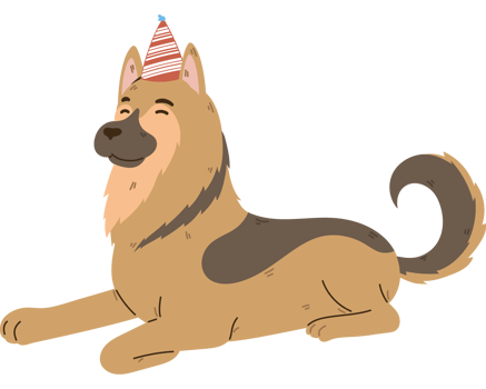 happy dog with birthday hat png