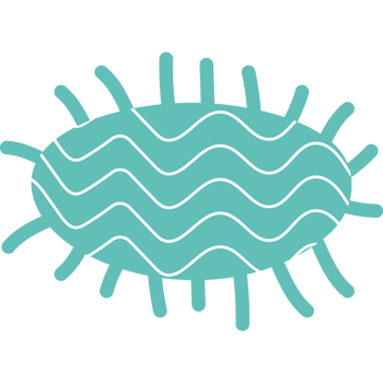 oval shape with lines hand drawn png