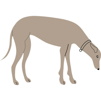 greyhound dog pet animal icon png