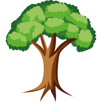 elm tree nature png
