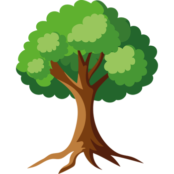 elm tree isolated png