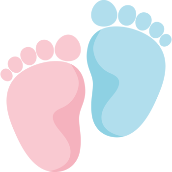 gender reveal boy and girl png