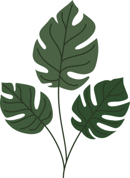 tropical leaves illustration png