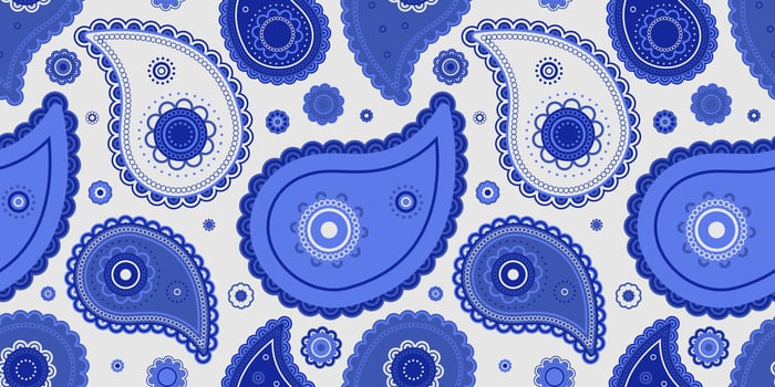 A blue and white paisley pattern vector