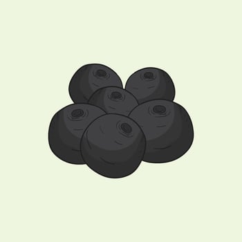 Acai Fruit Flat Design Cartoon illustration vector