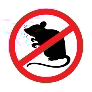 rat icon prohibited isolated on white background, black rat in the red warning sign, forbidden rat symbol, illustration rat for icon graphic vector
