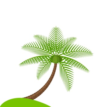coconut tree simple isolated on white, illustration coconut palm tree, coconut tree for a clip art vector