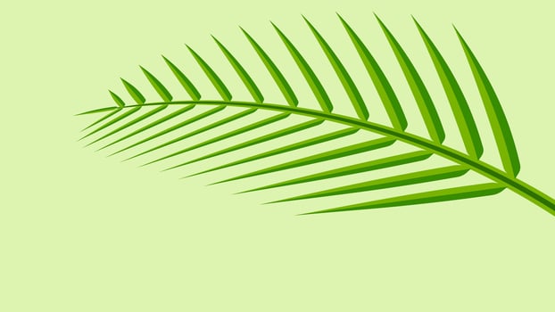 coconut leaf simple isolated on green pastel soft color, illustration of coconut leaves, palm stalk lush, leaf coconut green fresh vector