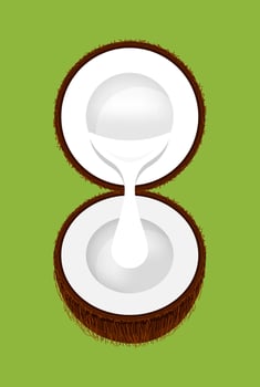 coconut half cut and coconut milk white drop isolated on green, illustration brown coconut and milk cream pouring, clip art coconut with white cream drop flow vector