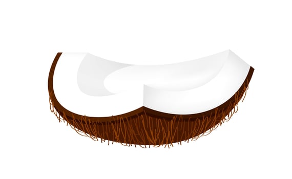 coconut slice part freshness, coconut brown fruit half cut isolated on white, illustration coconut half slice clip art, coconut fruit simple vector