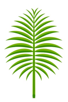 coconut leaf simple isolated on white background, illustration of coconut leaves, palm stalk lush, leaf coconut green clip art vector