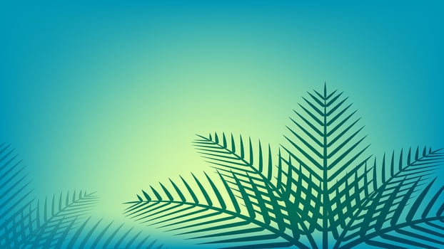 coconut leaf simple on ocean blue soft color for background, illustration of coconut leaves, palm stalk, leaf coconut green soft for wallpaper vector