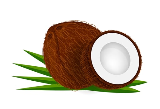 coconut half slice on leaf green, coconut brown fruit half cut isolated on white, illustration coconut half slice for clip art, coconut freshness fruit for icon vector