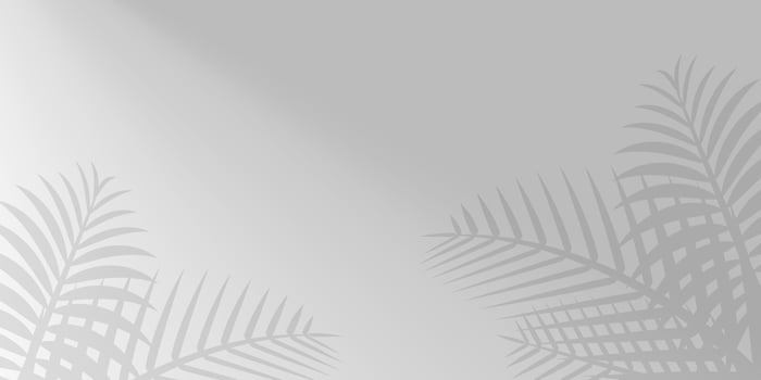 coconut leaf grey and sunshine for background, shadow tree palm leaves on wall, floral leaves shadow gray with sunbeam, illustration nature foliage shadow pattern morning shine on gray wall vector