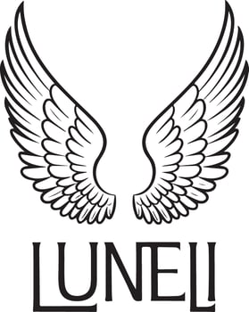 The logo a pair of angel wings vector