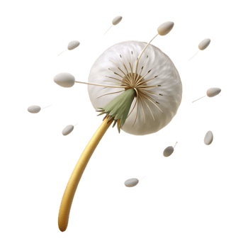 captivating peaceful modern A single dandelion seedhead with seeds blowing in the wind, soft afternoon light, whimsical and dreamy, illustrative style handcrafted png