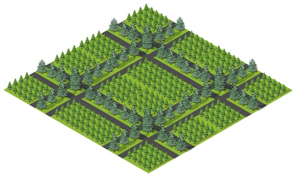 Isometric forest with trees and roads vector