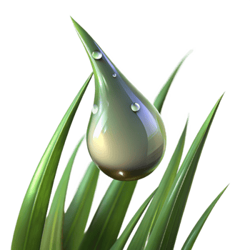 radiant dramatic gothic A close up of a dewdrop on a blade of grass, early morning light, macro photography style ultra HD png