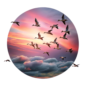 serene elegant A flock of migratory birds flying in formation against a dramatic sunset sky, painted in a romantic style 8K png