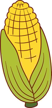Illustration of yellow corn with green husk vector