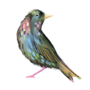 Cute multicolored hand drawn starling bird. Spring illustration for cards, design, t shirt, print. png