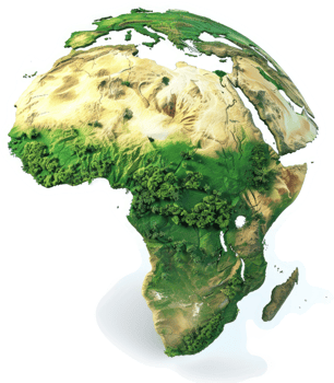 Detailed 3D model of Africa's terrain and vegetation. png