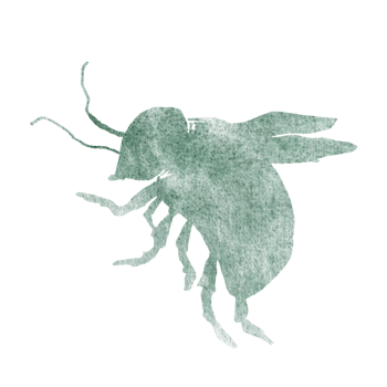 A watercolor bee in a green paint gradient. Abstract silhouette of a bee with wings for making postcards, prints. Watercolor paint spots. png