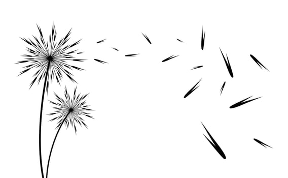 Stylized dandelions field vector