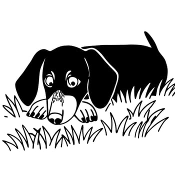 Dachshund Puppy Hiding in Grass vector