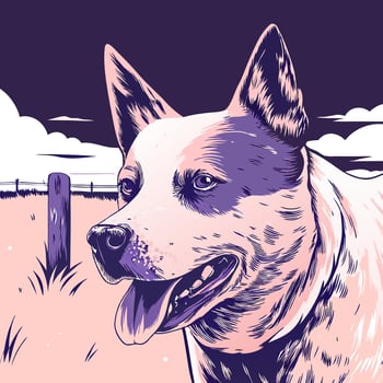 Australian Cattle Dog Portrait, Farm Scene vector